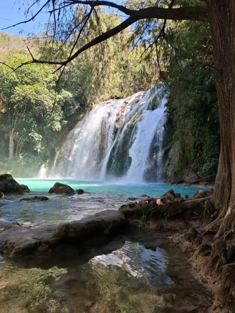 Chiflon en CASCADAS EL CHIFLON Y LAGOS DE MONTEBELLO