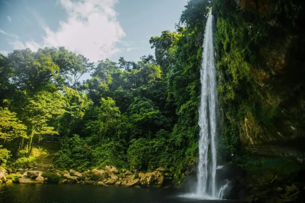 Misol-ha en Cascada Agua Azul- Misol-ha y la Zona Arqueológica de Palenque