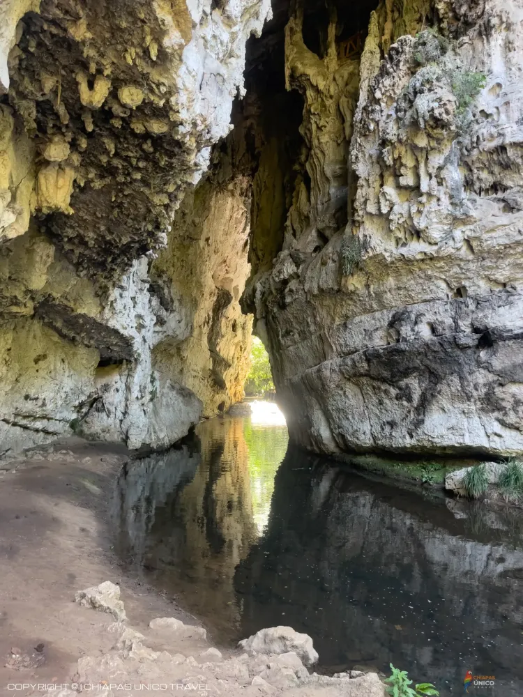 Arcotete en Grutas de Rancho nuevo y el Parque Ecoturístico Arcotete