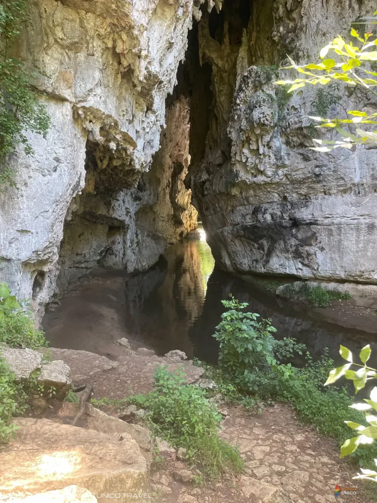 Arcotete en Grutas de Rancho nuevo y el Parque Ecoturístico Arcotete