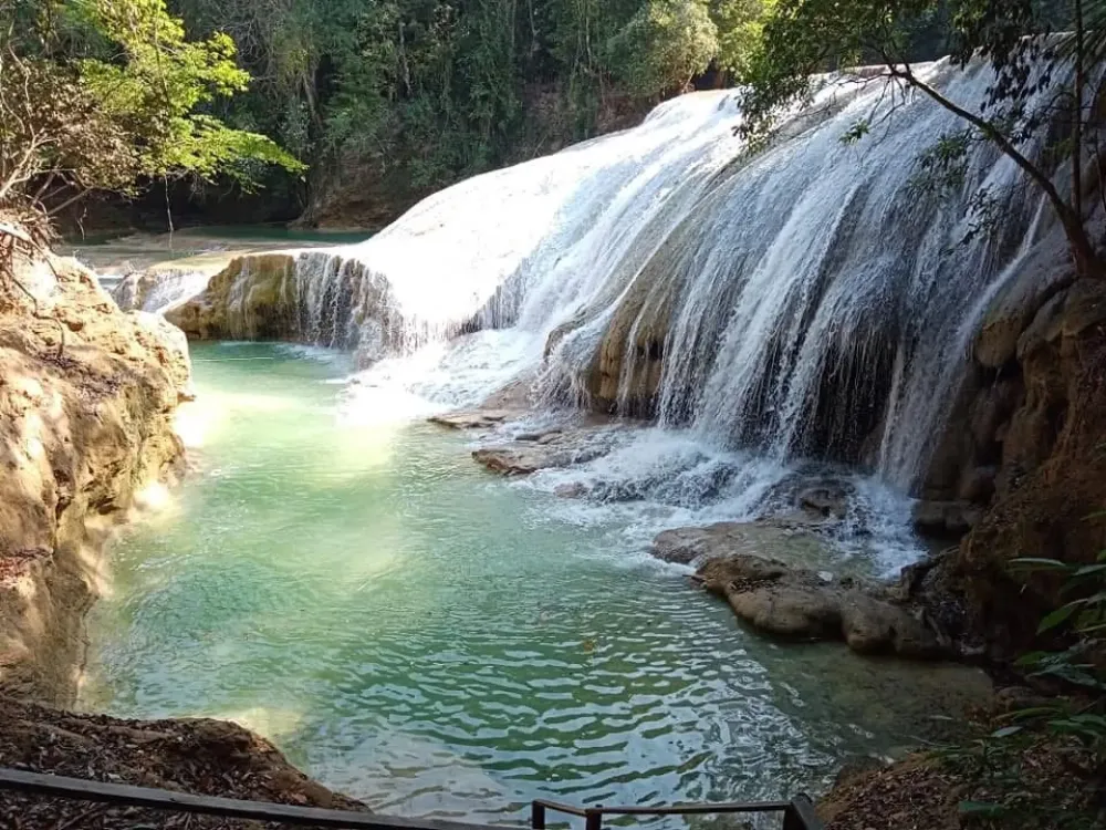  en Palenque-Cascada Roberto Barrios