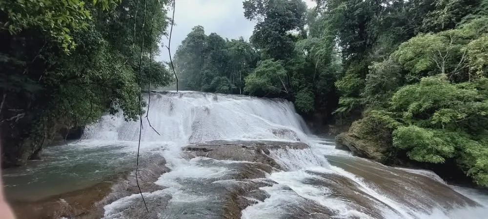 Roberto Barrios en Palenque-Cascada Roberto Barrios