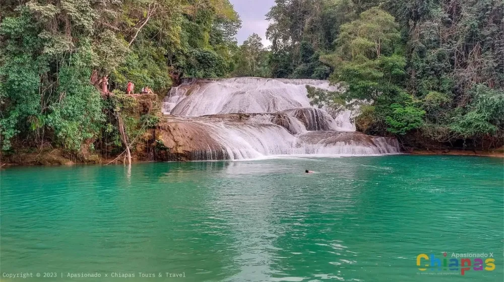  en Palenque-Cascada Roberto Barrios