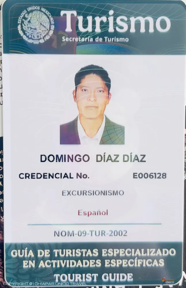 Guia de turismo