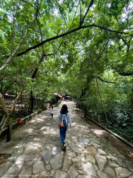 Chiflon en Joyas Naturales de Chiapas 3 Días | 2 Noches